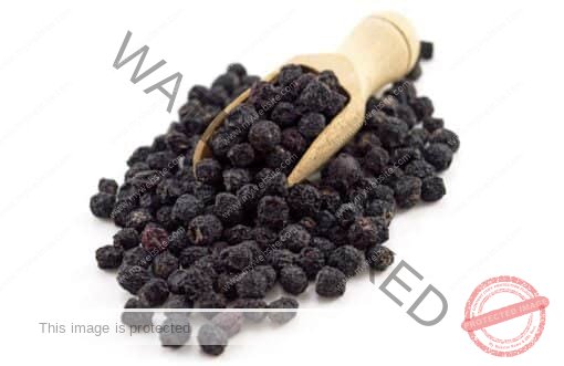 Aronia berry