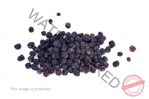 Aronia berry