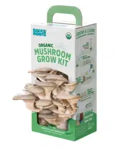 Magic Mushroom Grow Kits