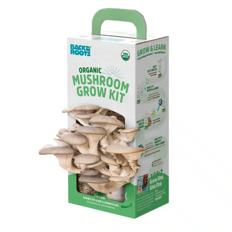 Magic Mushroom Grow Kits