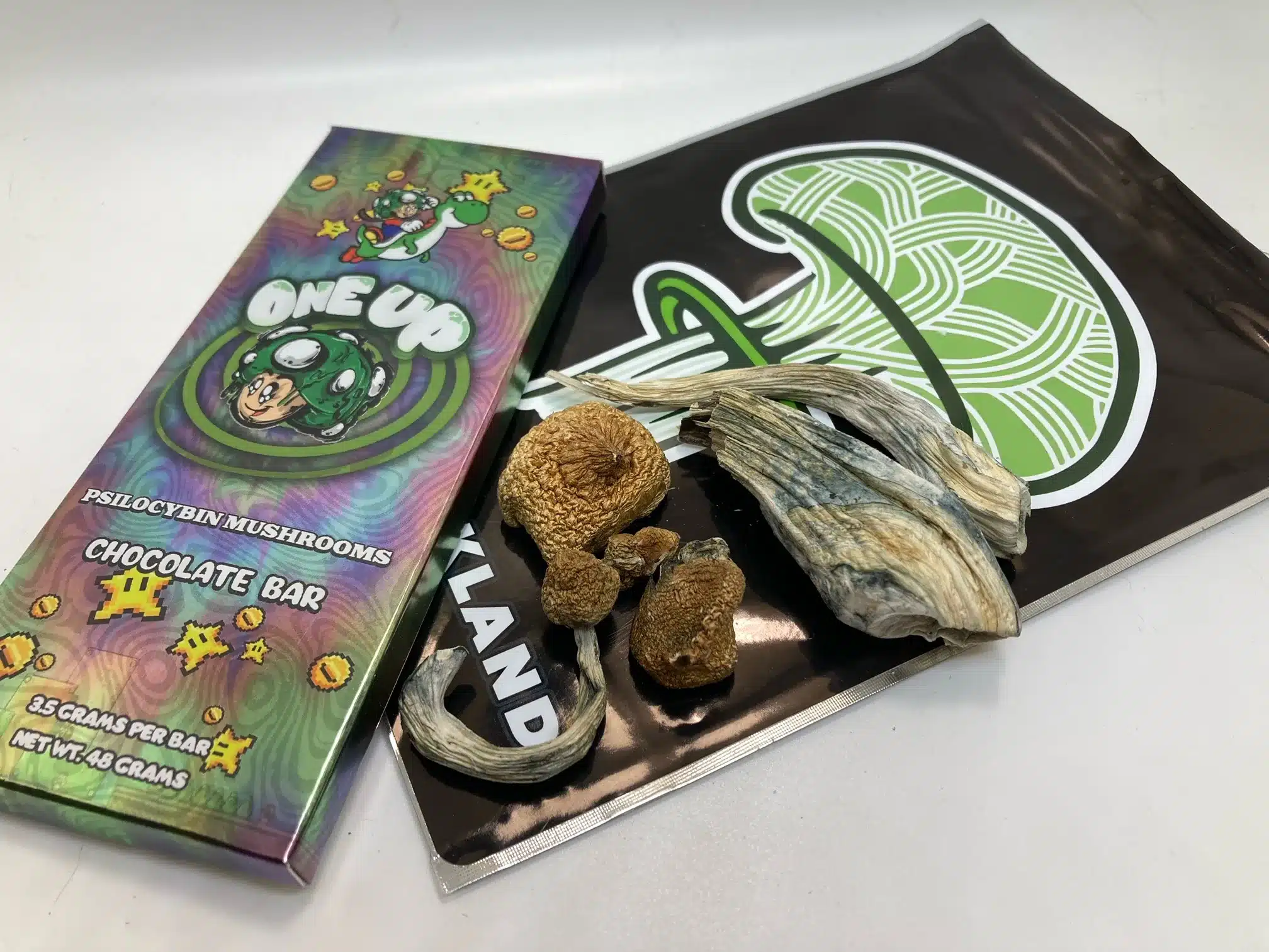 chocolate magic mushroom