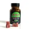 Buy Shafaa Evolve Magic Mushroom Microdosing Gummy Bears