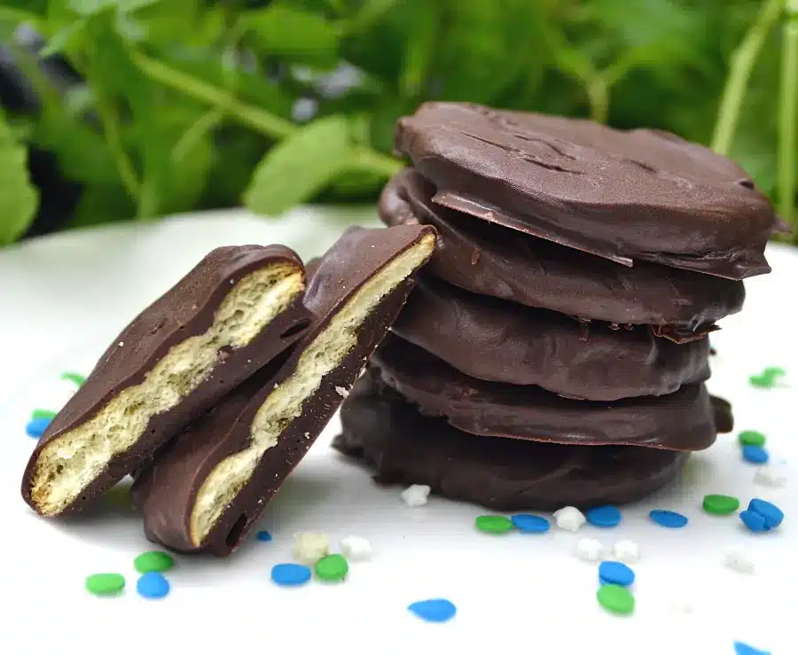 MUSHROOM CHOCOLATE BARS
